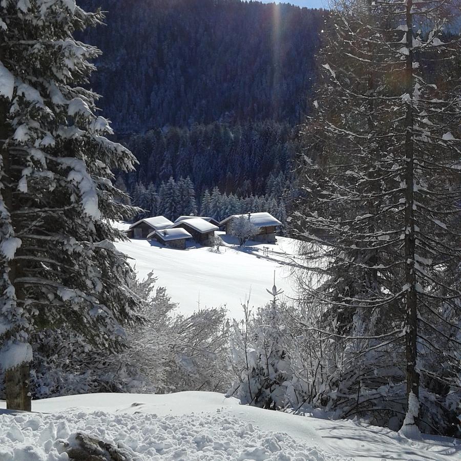 Rifugio Caltena Fiera Di Primiero Exterior foto